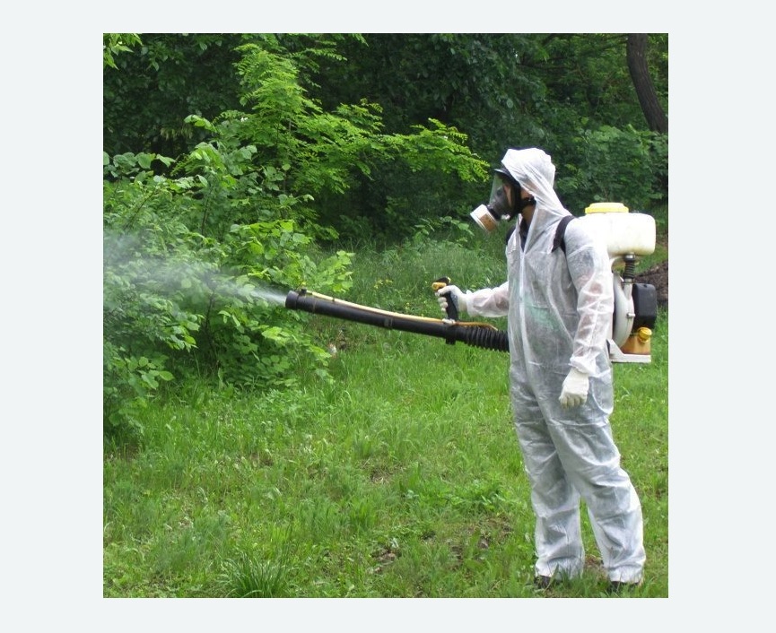 обработка территории от клещей Московская метро Спб