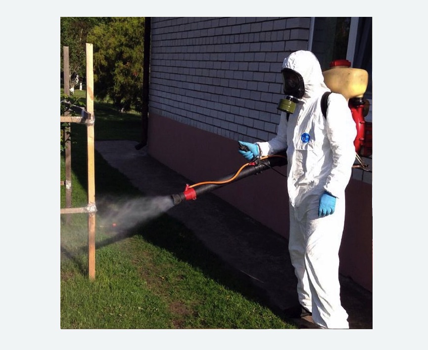 травля клещей на участке Московская метро Спб