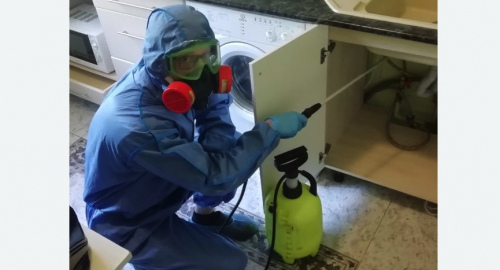 Уничтожение муравьев в квартире. Московская