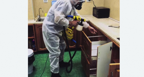 Уничтожение насекомых в квартире. Московская