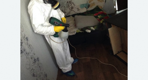 Обработка квартир от насекомых Московская метро Спб