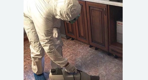 Уничтожение тараканов в квартире. Московская