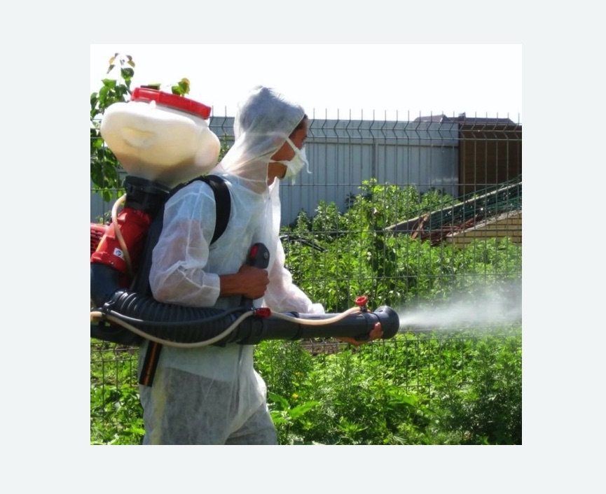 Акарицидная обработка территории Московская метро Спб