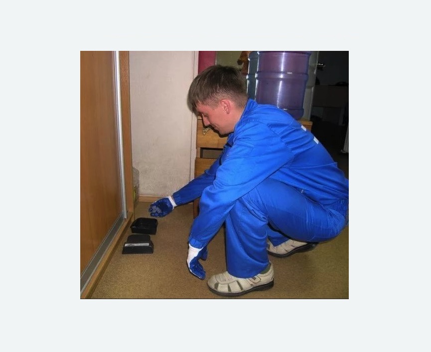 Дератизация крыс Дератизация крыс Московская метро Спб