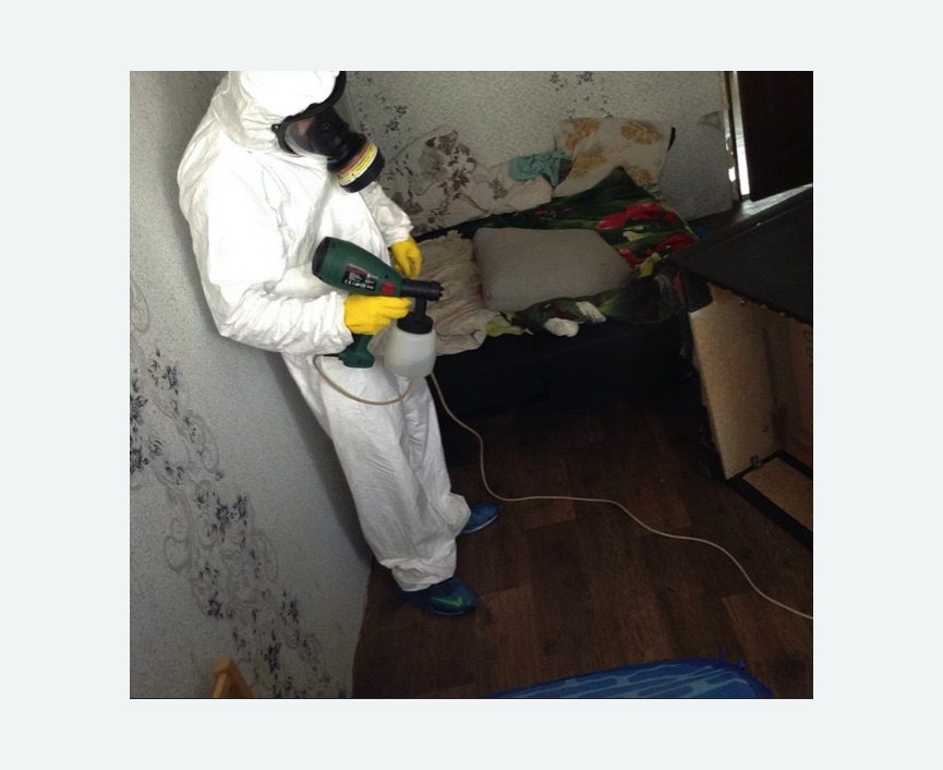 Обработка от насекомых Московская метро Спб Обработка квартиры от насекомых