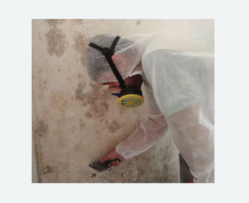 Обработка стен от плесени Обработка стен от плесени Московская метро Спб