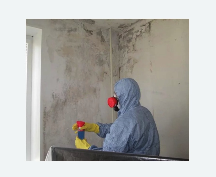 Удаление плесени в квартире Удаление плесени в квартире Московская метро Спб