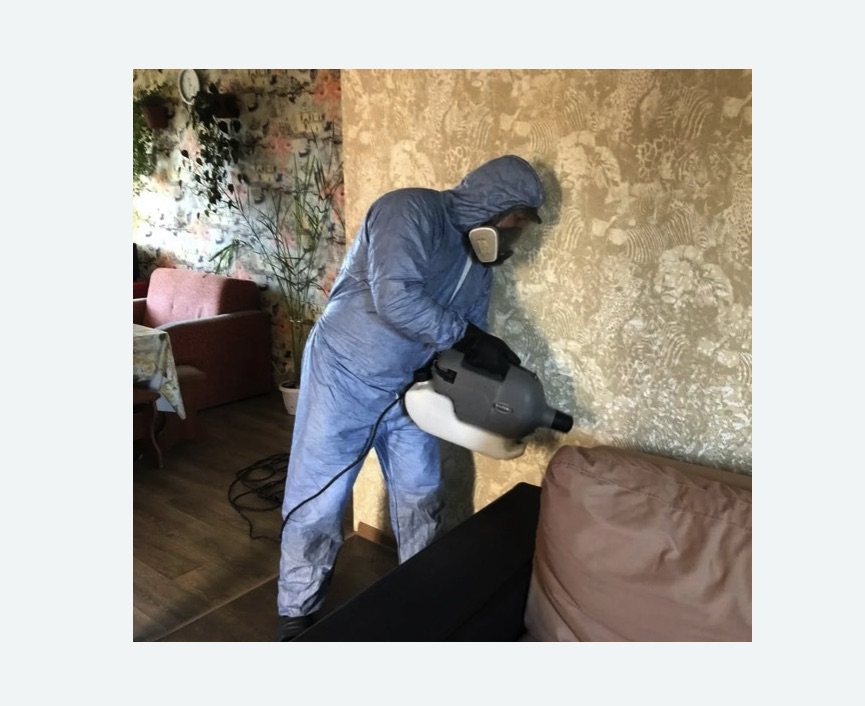 Уничтожение блох в квартире. Московская Уничтожение блох в квартире