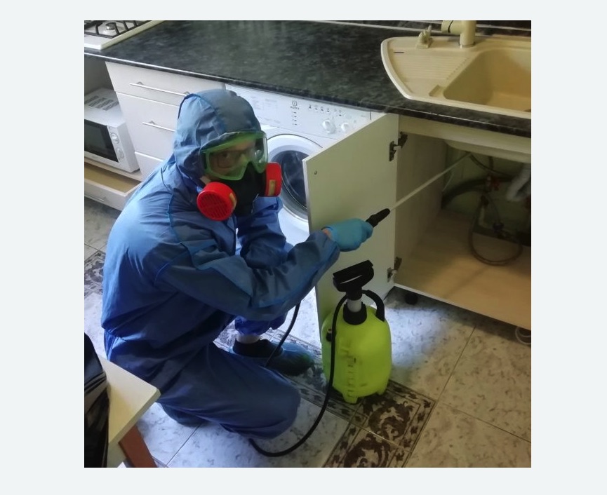 обработка от муравьев в квартире Московская метро Спб