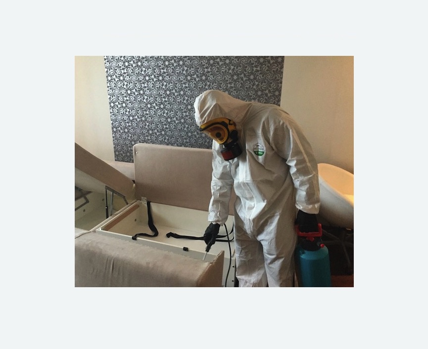 уничтожение клопов в квартире уничтожение клопов в квартире Московская метро Спб