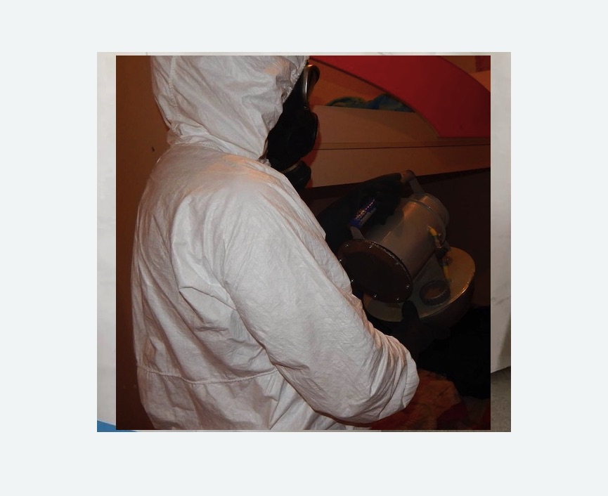 Дезинфекция от муравьев Московская метро Спб