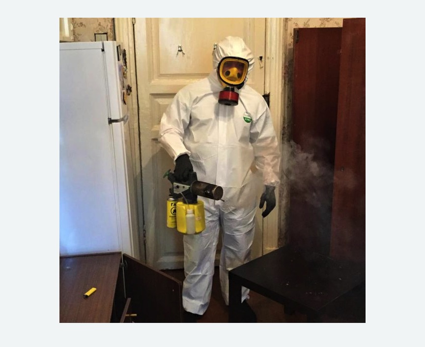 уничтожение муравьев в квартире Московская метро Спб